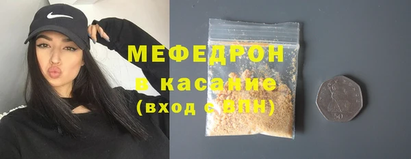 хмурый Аркадак