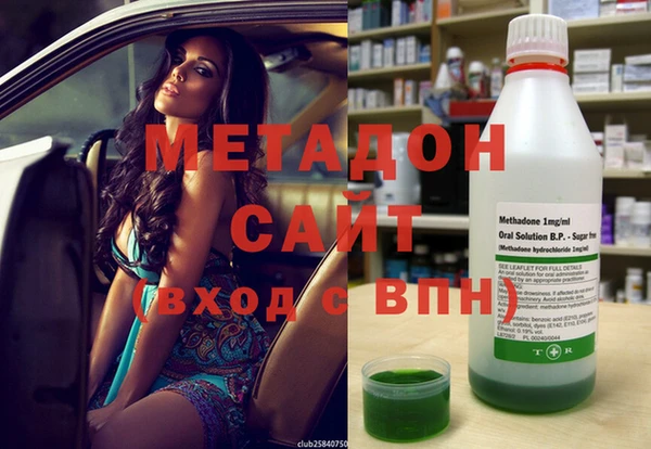хмурый Аркадак