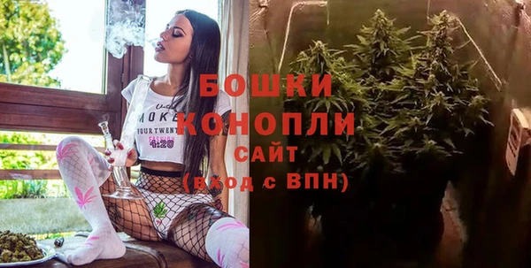гидра Балабаново