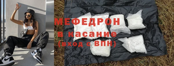 хмурый Аркадак