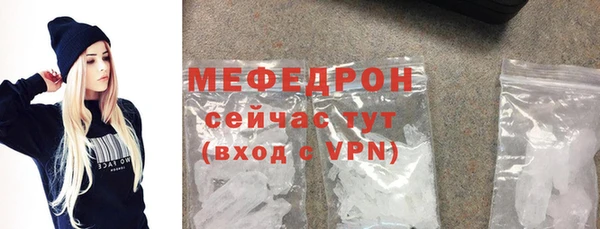 хмурый Аркадак