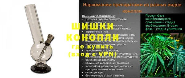 дживик Осташков
