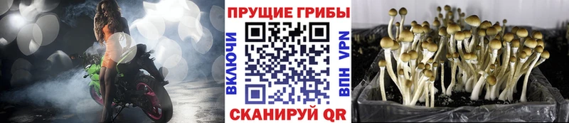 Псилоцибиновые грибы MAGIC MUSHROOMS  Партизанск 